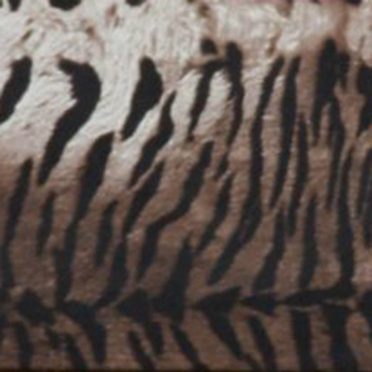 Leatherite With Tiger Print