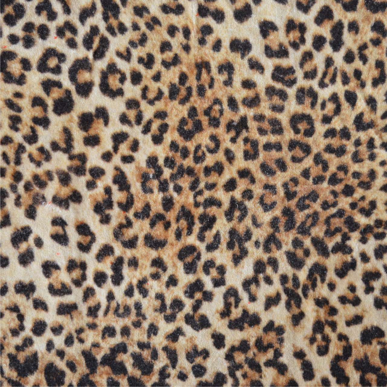 Animal Print