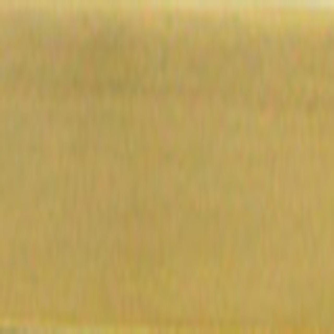 Gold Coated Finish