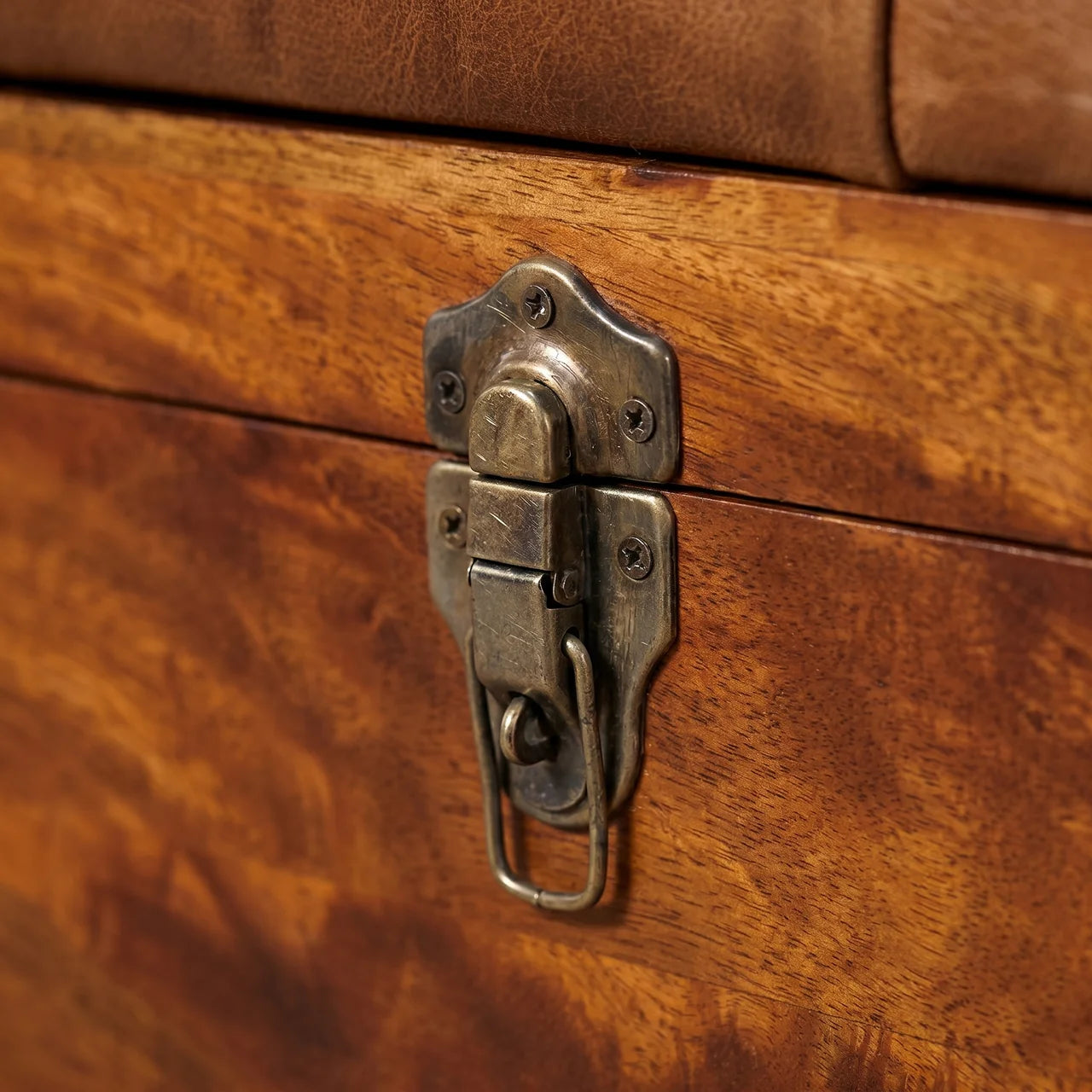 Buffalo Hide Chestnut Storage Trunk